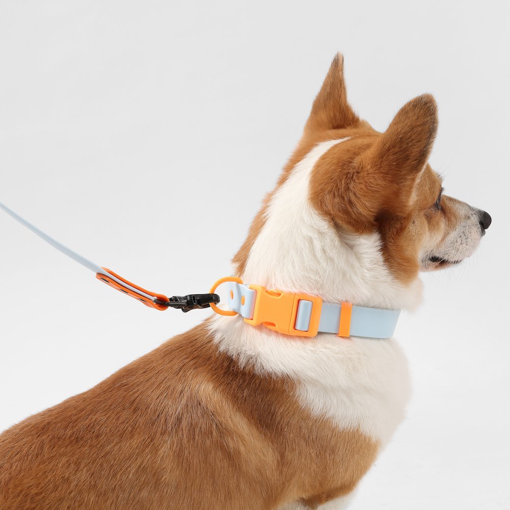 Adjustable 6-in-1 Waterproof Hands-Free Leash and Collar with LED Flashlight