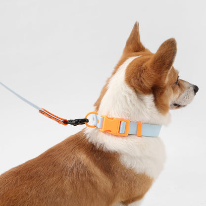 Adjustable 6-in-1 Waterproof Hands-Free Leash and Collar with LED Flashlight