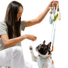 Adjustable 6-in-1 Waterproof Hands-Free Leash and Collar with LED Flashlight