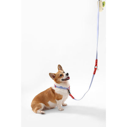 Adjustable 6-in-1 Waterproof Hands-Free Leash and Collar with LED Flashlight