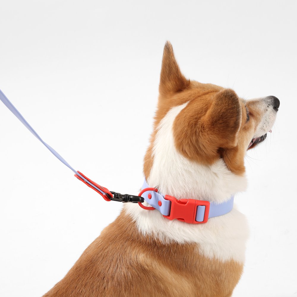 Adjustable 6-in-1 Waterproof Hands-Free Leash and Collar with LED Flashlight