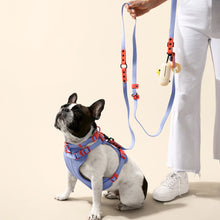 Adjustable 6-in-1 Waterproof Hands-Free Leash and Collar with LED Flashlight