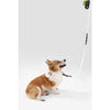 Adjustable 6-in-1 Waterproof Hands-Free Leash and Collar with LED Flashlight