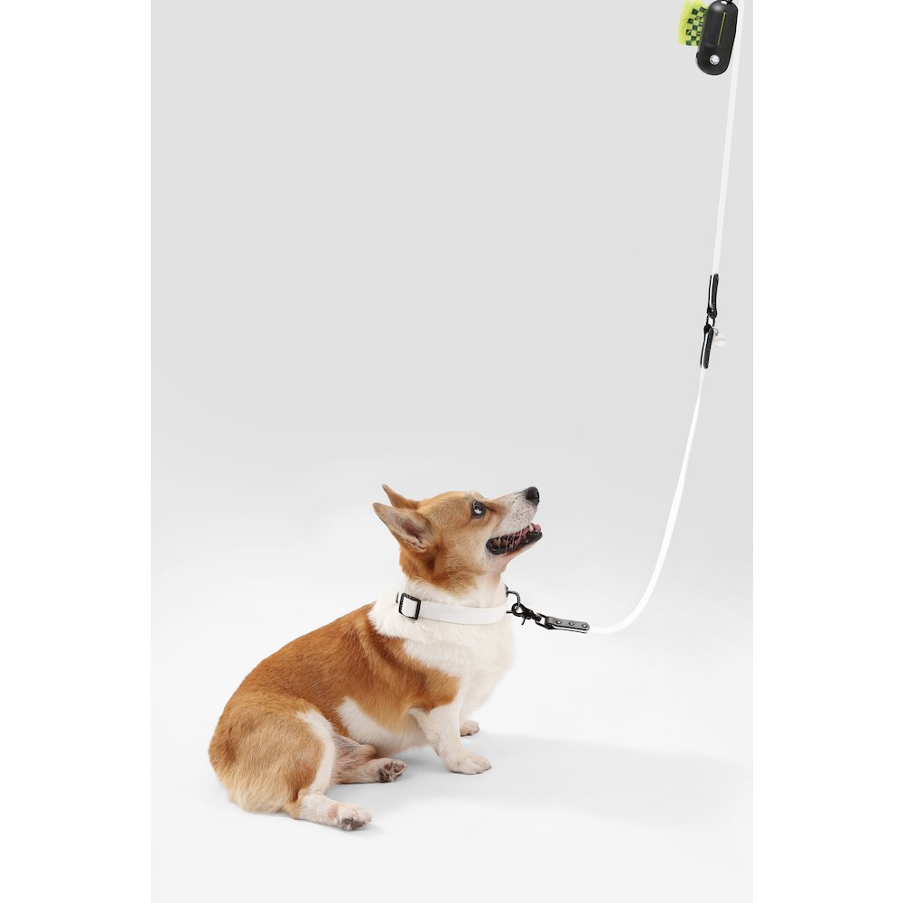 Adjustable 6-in-1 Waterproof Hands-Free Leash and Collar with LED Flashlight