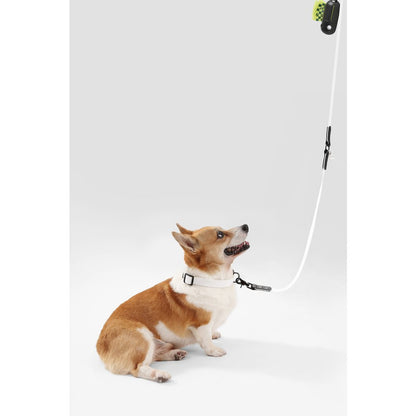 Adjustable 6-in-1 Waterproof Hands-Free Leash and Collar with LED Flashlight