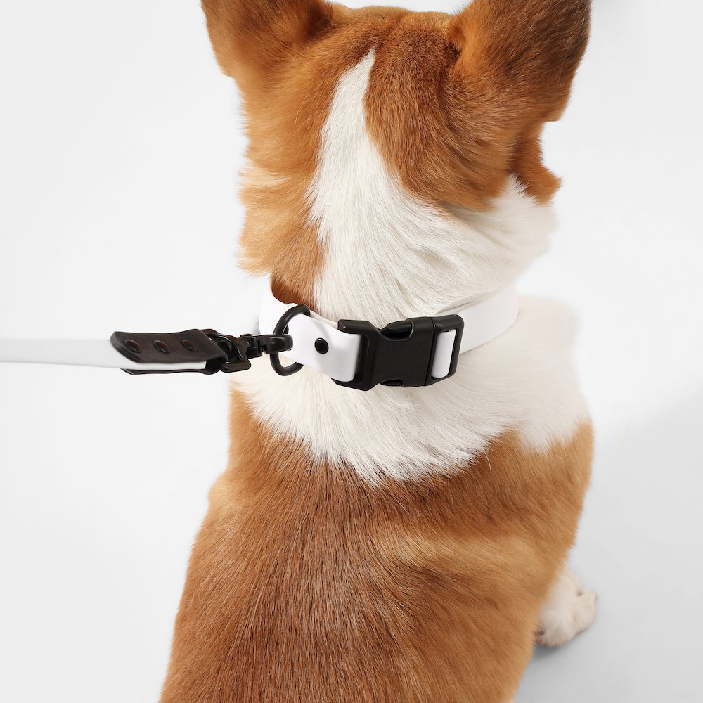Adjustable 6-in-1 Waterproof Hands-Free Leash and Collar with LED Flashlight