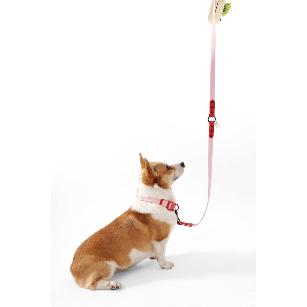 Adjustable 6-in-1 Waterproof Hands-Free Leash and Collar with LED Flashlight