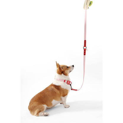 Adjustable 6-in-1 Waterproof Hands-Free Leash and Collar with LED Flashlight