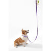 Adjustable 6-in-1 Waterproof Hands-Free Leash and Collar with LED Flashlight