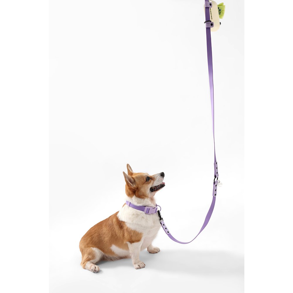 Adjustable 6-in-1 Waterproof Hands-Free Leash and Collar with LED Flashlight
