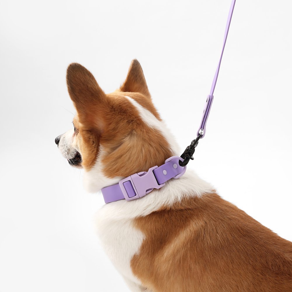 Adjustable 6-in-1 Waterproof Hands-Free Leash and Collar with LED Flashlight