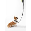 Adjustable 6-in-1 Waterproof Hands-Free Leash and Collar with LED Flashlight