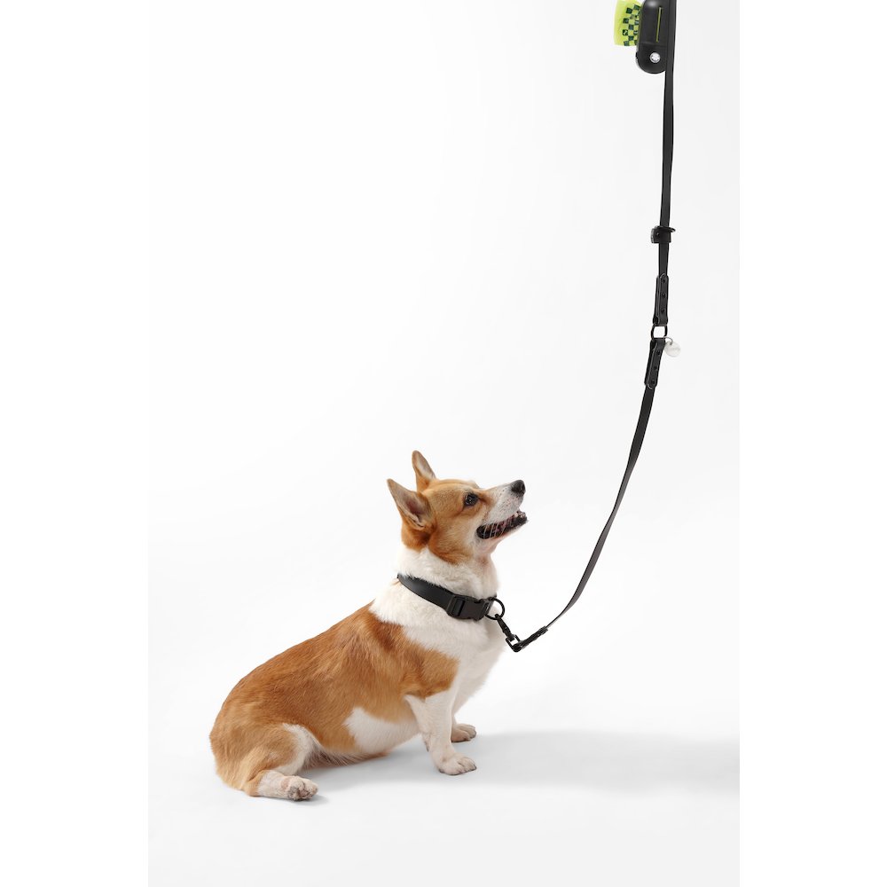 Adjustable 6-in-1 Waterproof Hands-Free Leash and Collar with LED Flashlight