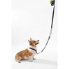 Adjustable 6-in-1 Waterproof Hands-Free Leash and Collar with LED Flashlight