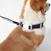 Adjustable 6-in-1 Waterproof Hands-Free Leash and Collar with LED Flashlight