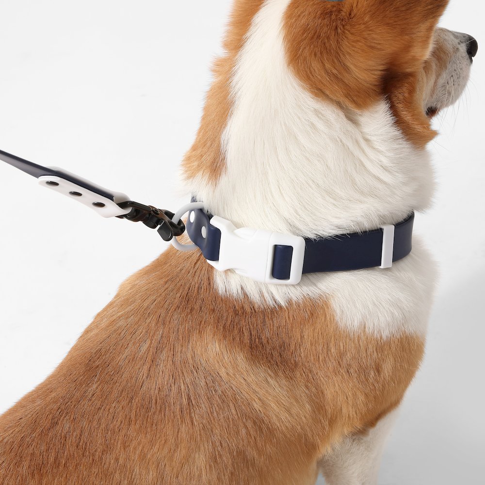 Adjustable 6-in-1 Waterproof Hands-Free Leash and Collar with LED Flashlight