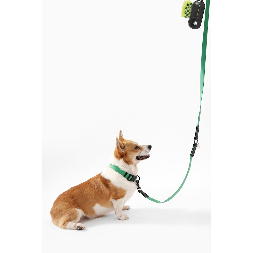 Adjustable 6-in-1 Waterproof Hands-Free Leash and Collar with LED Flashlight