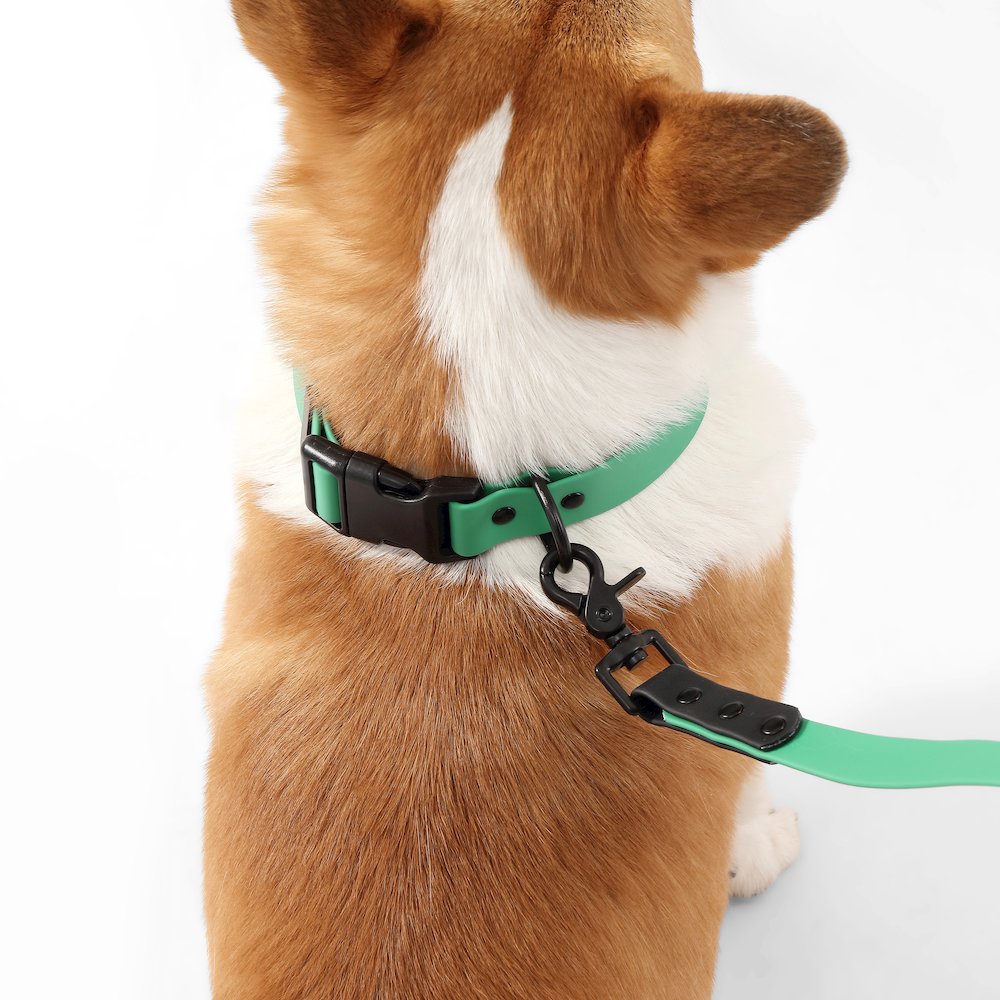 Adjustable 6-in-1 Waterproof Hands-Free Leash and Collar with LED Flashlight