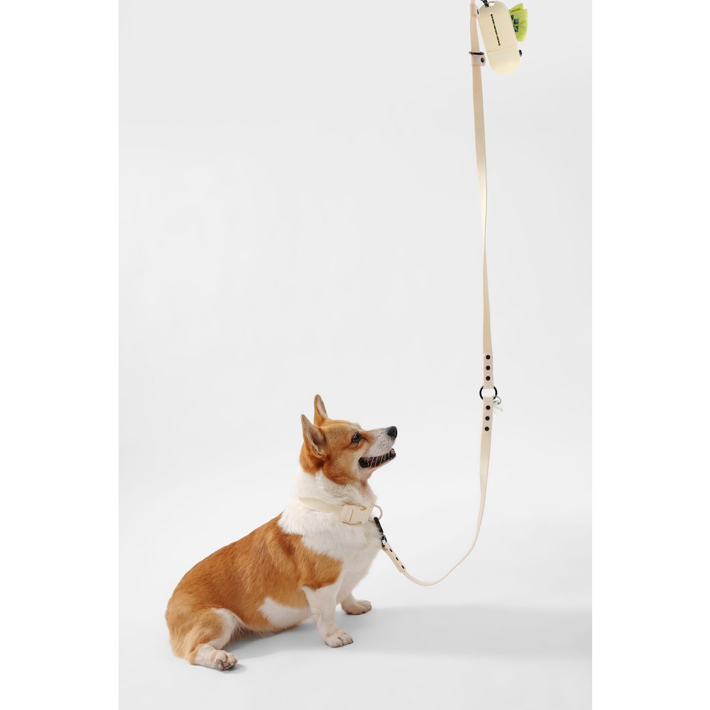 Adjustable 6-in-1 Waterproof Hands-Free Leash and Collar with LED Flashlight