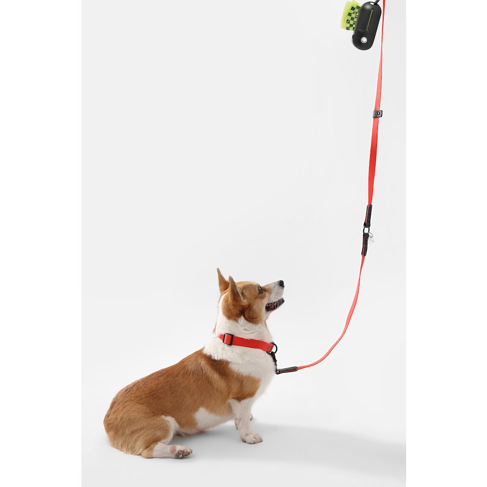Adjustable 6-in-1 Waterproof Hands-Free Leash and Collar with LED Flashlight