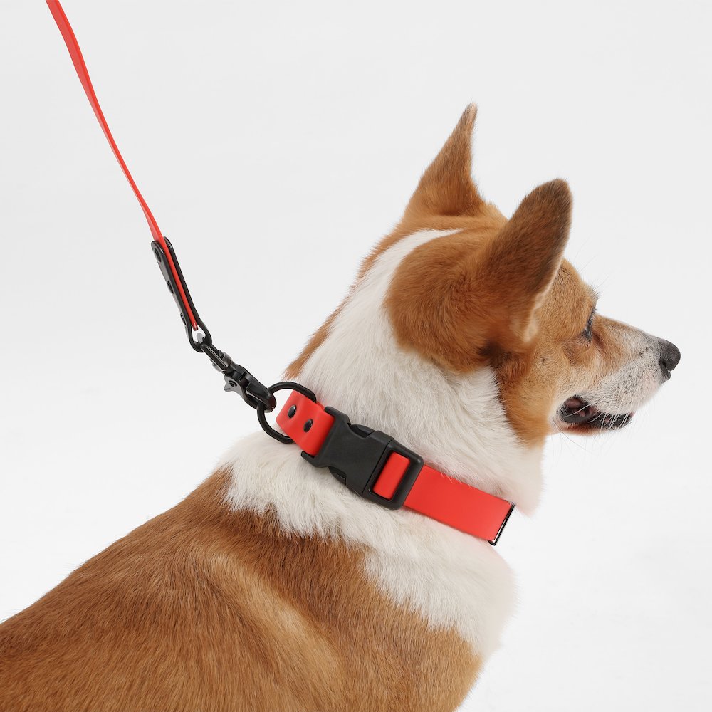 Adjustable 6-in-1 Waterproof Hands-Free Leash and Collar with LED Flashlight