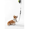 Adjustable 6-in-1 Waterproof Hands-Free Leash and Collar with LED Flashlight