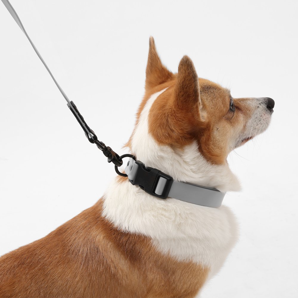 Adjustable 6-in-1 Waterproof Hands-Free Leash and Collar with LED Flashlight