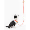 Adjustable 6-in-1 Waterproof Hands-Free Leash and Collar with LED Flashlight