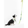Adjustable 6-in-1 Waterproof Hands-Free Leash and Collar with LED Flashlight
