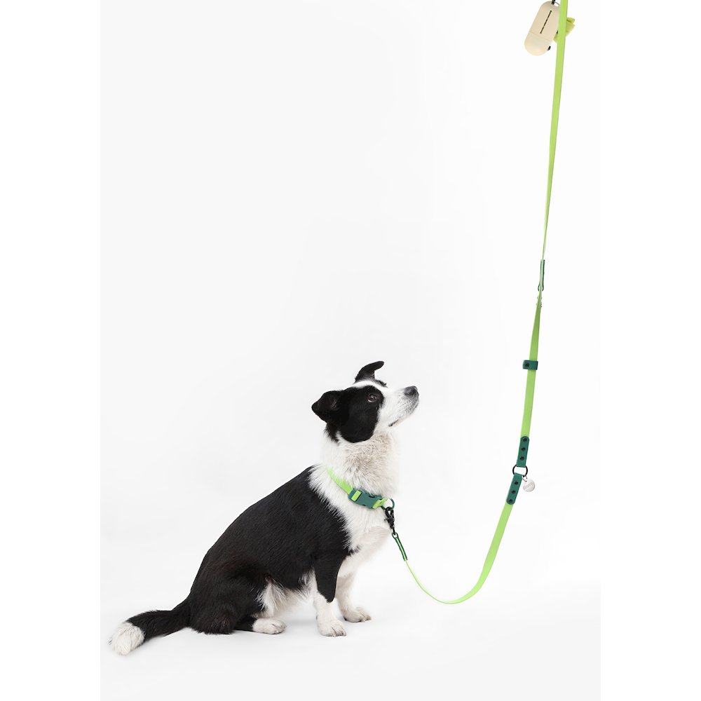 Adjustable 6-in-1 Waterproof Hands-Free Leash and Collar with LED Flashlight
