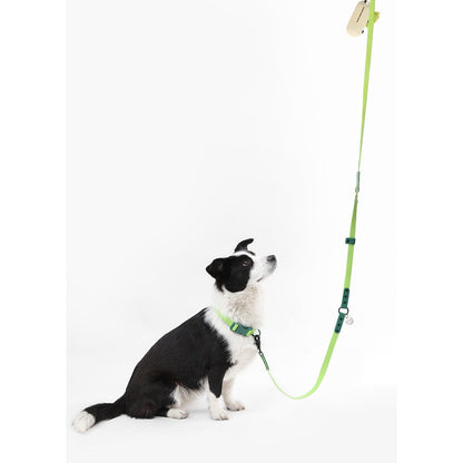 Adjustable 6-in-1 Waterproof Hands-Free Leash and Collar with LED Flashlight