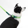 Adjustable 6-in-1 Waterproof Hands-Free Leash and Collar with LED Flashlight