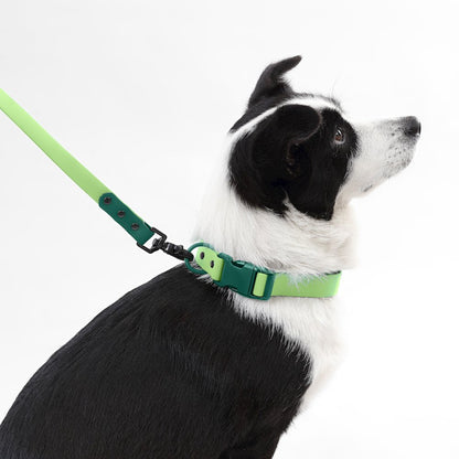 Adjustable 6-in-1 Waterproof Hands-Free Leash and Collar with LED Flashlight