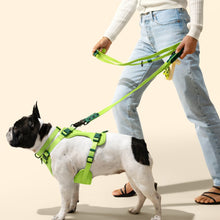 Adjustable 6-in-1 Waterproof Hands-Free Leash and Collar with LED Flashlight