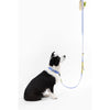 Adjustable 6-in-1 Waterproof Hands-Free Leash and Collar with LED Flashlight
