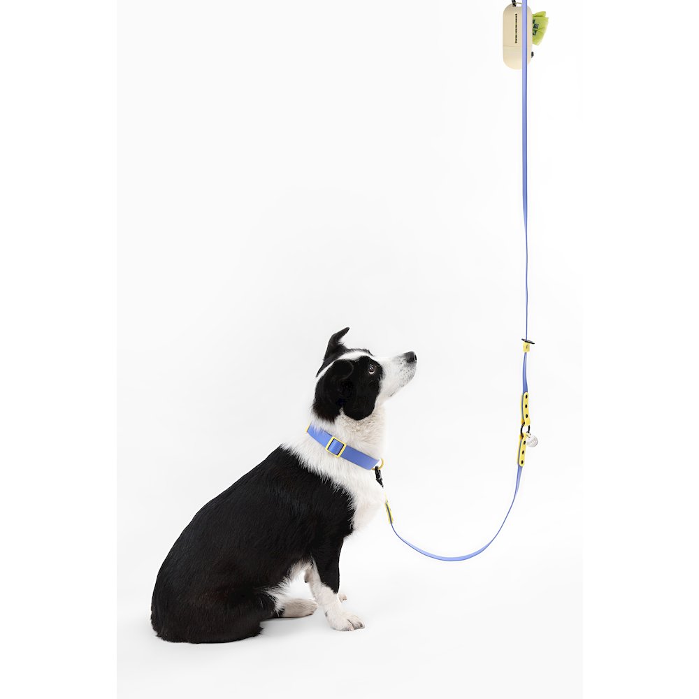 Adjustable 6-in-1 Waterproof Hands-Free Leash and Collar with LED Flashlight