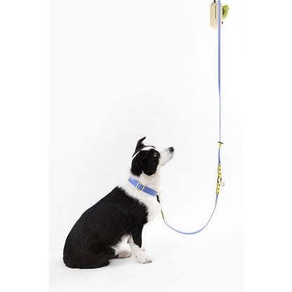 Adjustable 6-in-1 Waterproof Hands-Free Leash and Collar with LED Flashlight