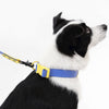 Adjustable 6-in-1 Waterproof Hands-Free Leash and Collar with LED Flashlight