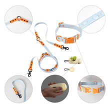 Adjustable 6-in-1 Waterproof Hands-Free Leash and Collar with LED Flashlight