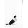 Adjustable 6-in-1 Waterproof Hands-Free Leash and Collar with LED Flashlight