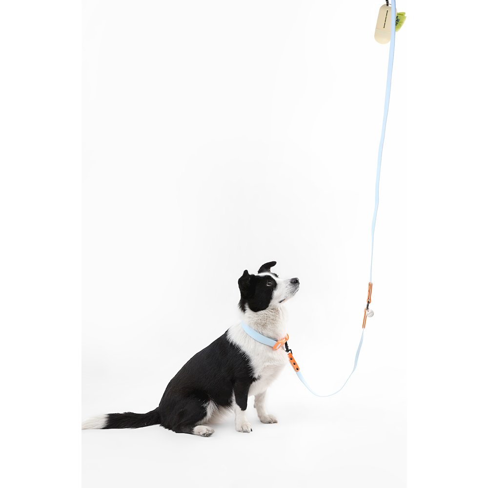 Adjustable 6-in-1 Waterproof Hands-Free Leash and Collar with LED Flashlight