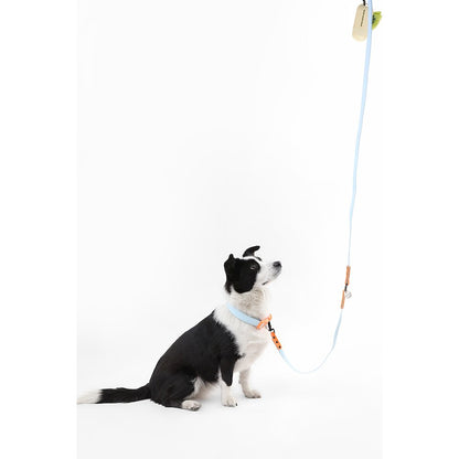 Adjustable 6-in-1 Waterproof Hands-Free Leash and Collar with LED Flashlight