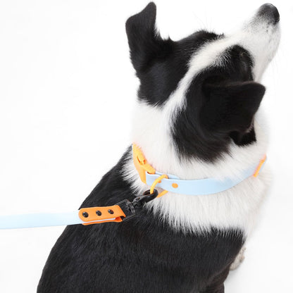 Adjustable 6-in-1 Waterproof Hands-Free Leash and Collar with LED Flashlight