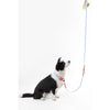 Adjustable 6-in-1 Waterproof Hands-Free Leash and Collar with LED Flashlight
