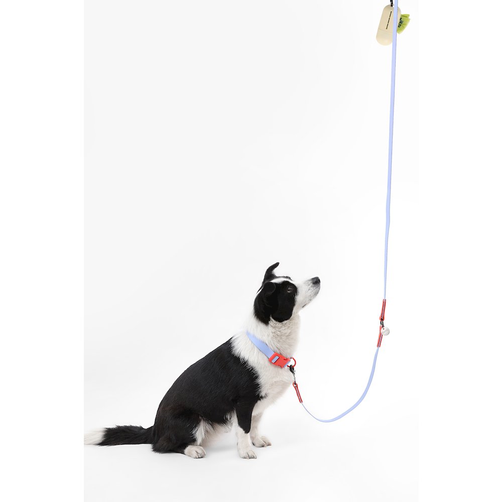 Adjustable 6-in-1 Waterproof Hands-Free Leash and Collar with LED Flashlight