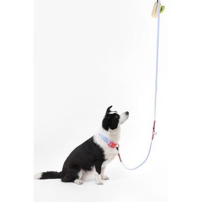 Adjustable 6-in-1 Waterproof Hands-Free Leash and Collar with LED Flashlight