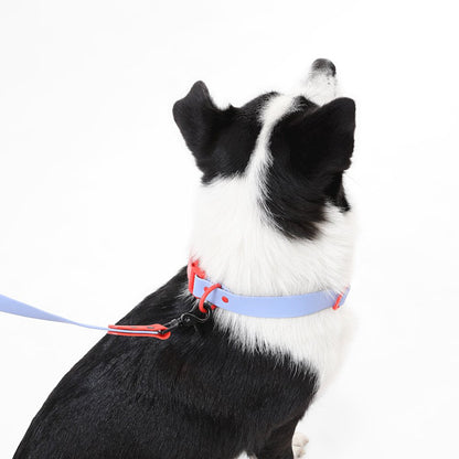 Adjustable 6-in-1 Waterproof Hands-Free Leash and Collar with LED Flashlight