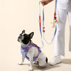Adjustable 6-in-1 Waterproof Hands-Free Leash and Collar with LED Flashlight
