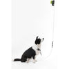 Adjustable 6-in-1 Waterproof Hands-Free Leash and Collar with LED Flashlight