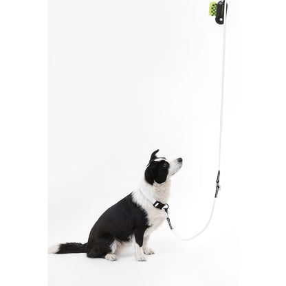 Adjustable 6-in-1 Waterproof Hands-Free Leash and Collar with LED Flashlight